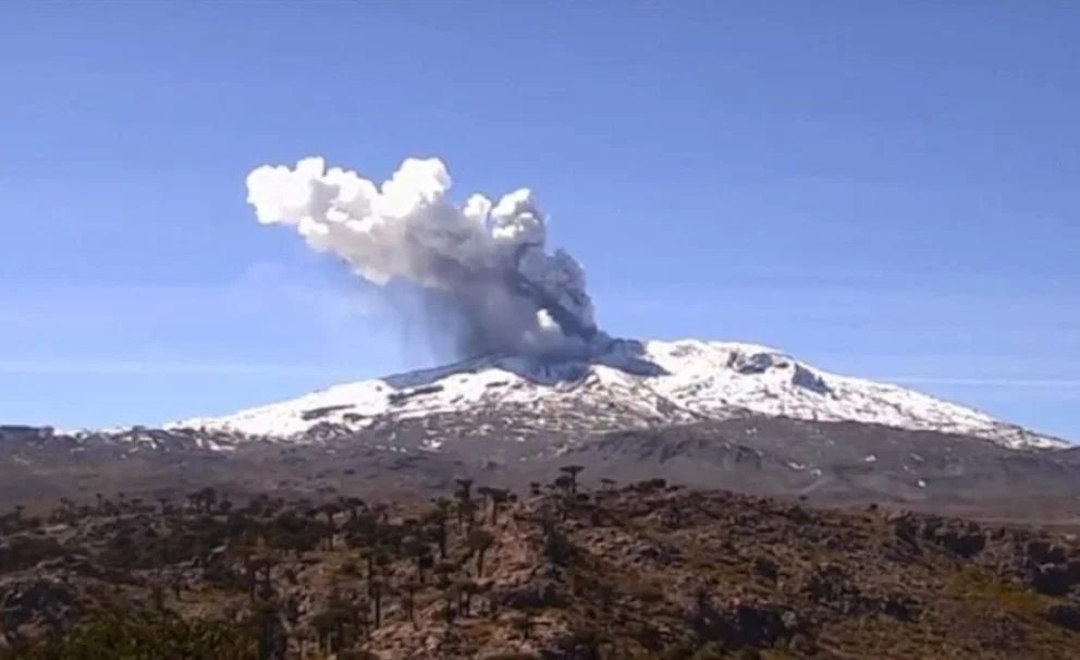 Volcán Copahue. 