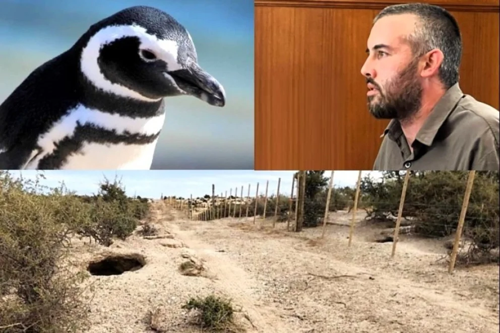 La Regina enfrenta una condena por crueldad animal y daño ambiental.