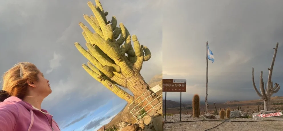 Ubicado en los Valles Calchaquíes, camino a Amaicha del Valle, se encuentra el parador Cardón Abuelo. Un lugar mágico, con su presencia legendaria. 