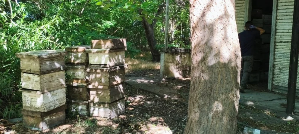 Foto: Gentileza. 