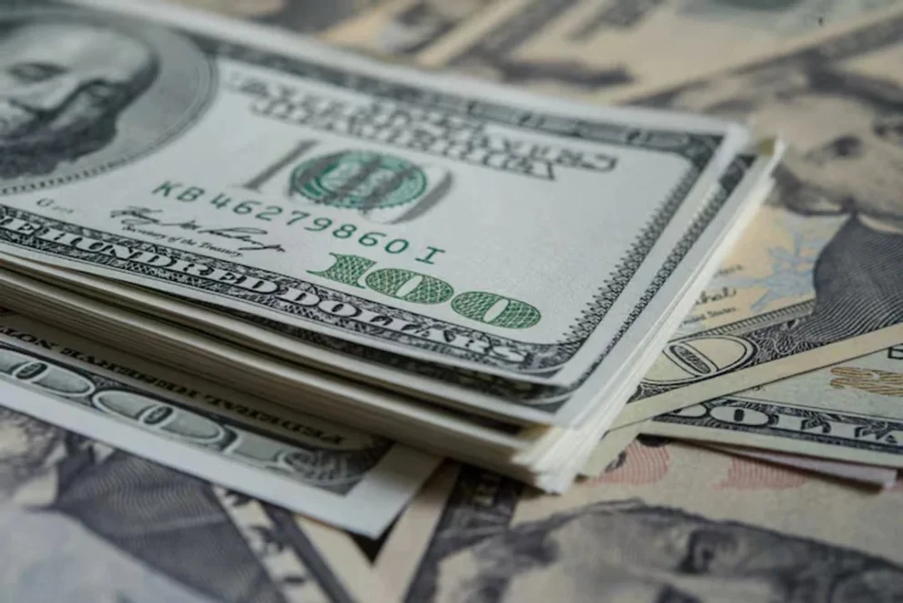 El Banco Central de la República Argentina (BCRA) anunció que las bandas de flotación del dólar se actualizarán en base a la inflación a partir de enero próximo.