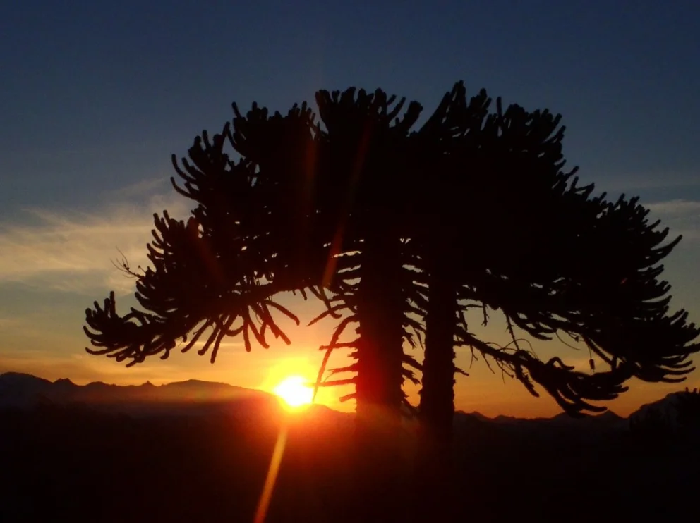 El verano neuquino, acompañado por el sol, invita a disfrutar de todos los paisajes provinciales. Foto: archivo