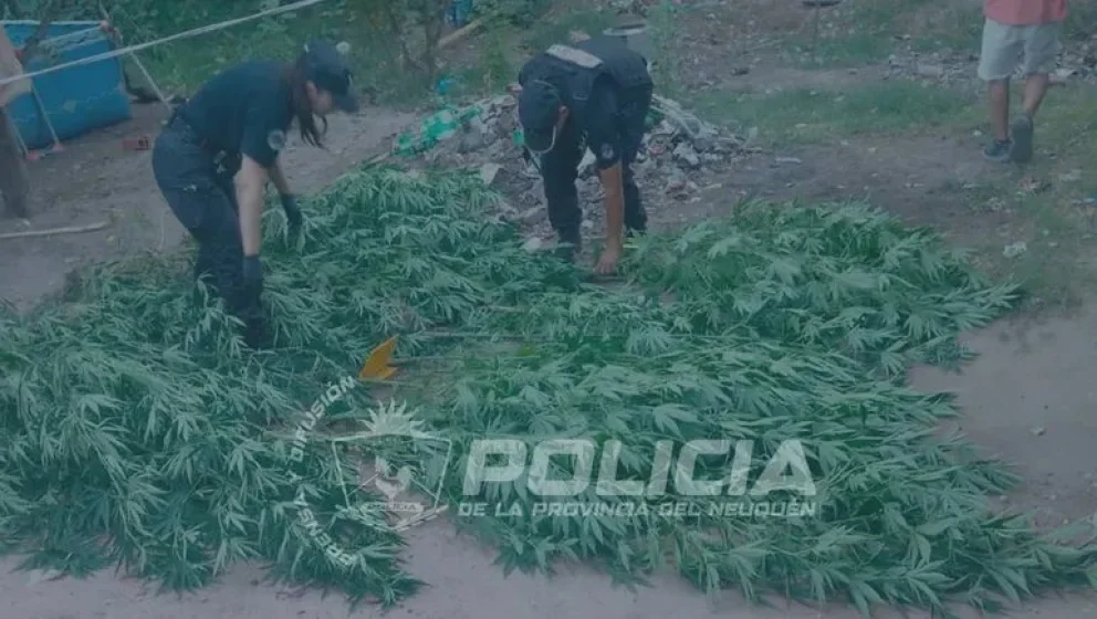 Foto: Policía de Neuquén. 