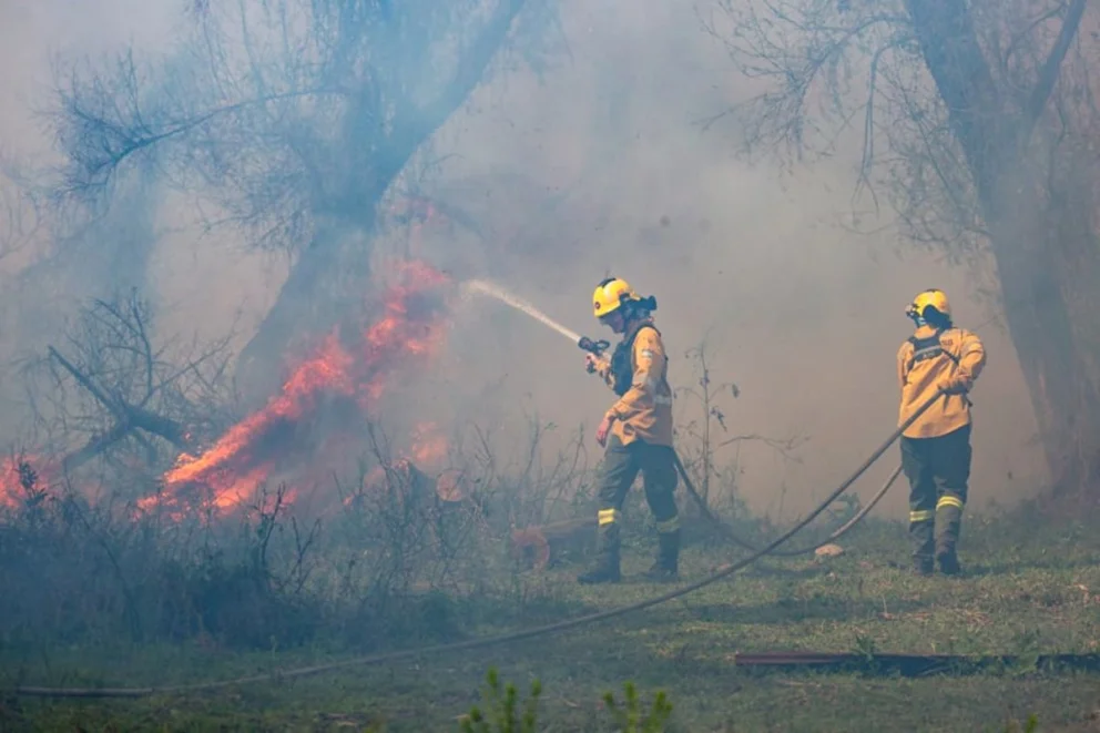 El testimonio de un brigadista que llegó hace más de un mes a colaborar en el combate del fuego. Foto: gentileza