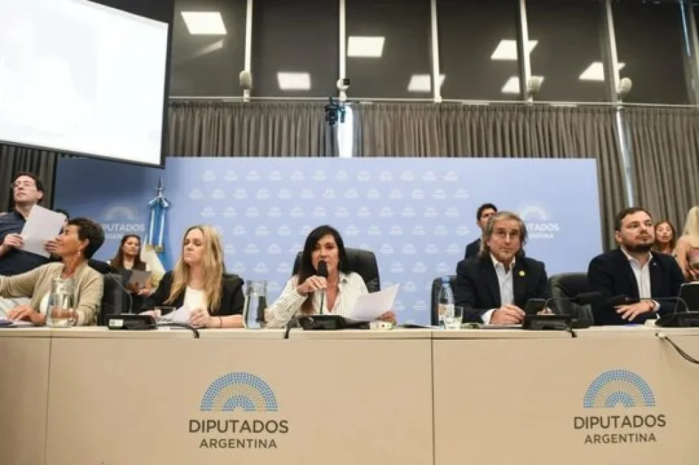 Tras la aprobación por mayoría del proyecto en las comisiones internas de Diputados, el proyecto será debatido en sesión este jueves. Foto: NA