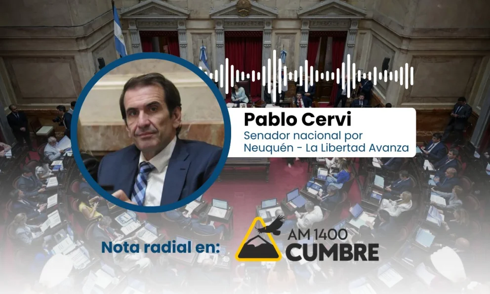 Pablo Cervi defendió la reforma laboral tras su aprobación en el Senado.