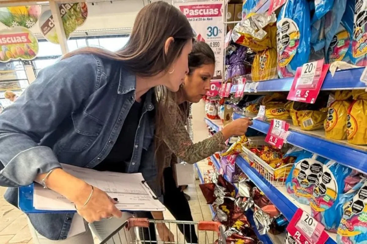 Se compra menos y se exprime la tarjeta: un estudio reveló los números ...