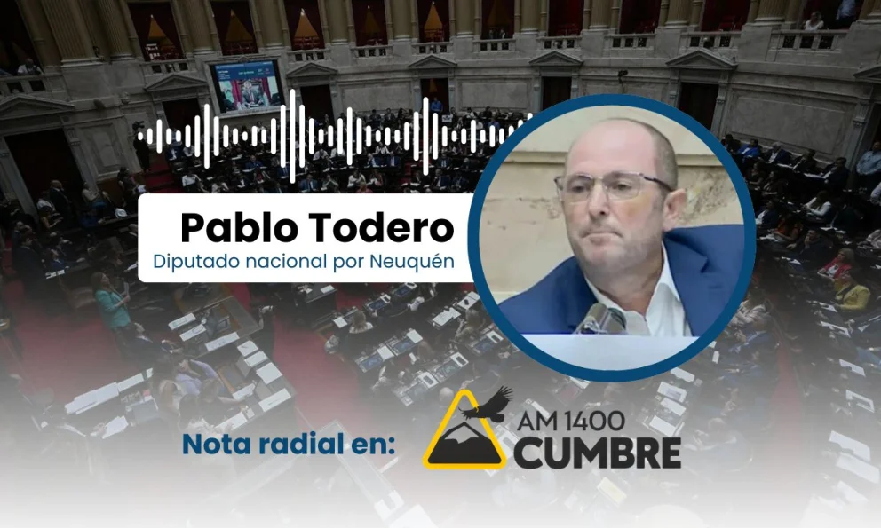 Pablo Todero rechazó la reforma laboral y expuso sus objeciones durante el debate en Diputados.