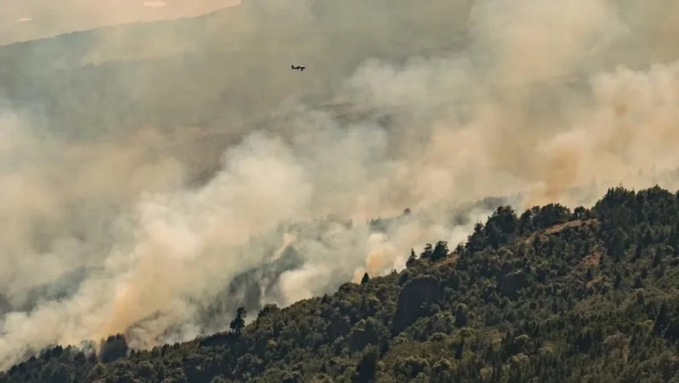 Desde principios de diciembre, el fuego consumió unas 16 mil hectáreas en esa zona. Foto: archivo