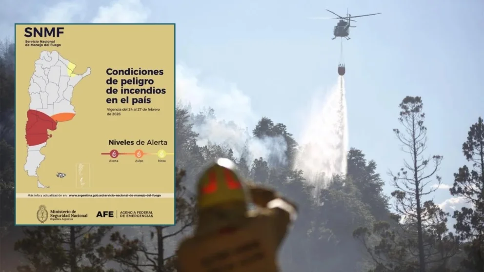 Los nuevos focos, presuntamente intencionales, vuelven a mostrar el combate por aire y tierra del fuego. Foto: gentileza/Agencia Federal de Emergencias