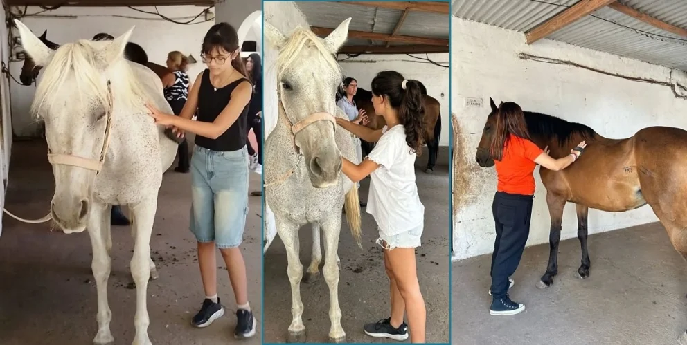 Impacta el abordaje multidisciplinario para lograr un vínculo con el caballo que nos cambia la vida. Fotos: Asociación Argentina de Equinoterapia. 