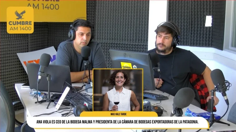 La entrevista que realizaron en AM Cumbre 1400 a Ana Viola. Foto: captura de video