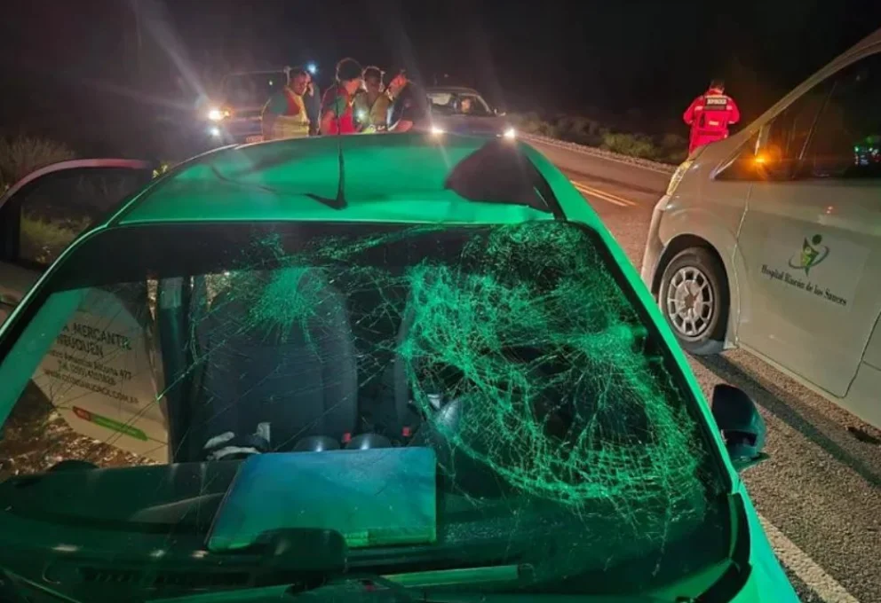 El caballo impactó contra el parabrisas del auto. Foto: Gentileza Bomberos de Rincón de los Sauces