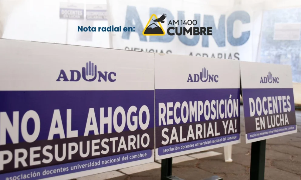 Silvia Brouchoud explicó las razones del paro universitario y el reclamo salarial docente