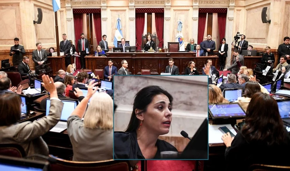 La exsenadora nacional podría ser representante argentina en Canadá. Foto: archivo
