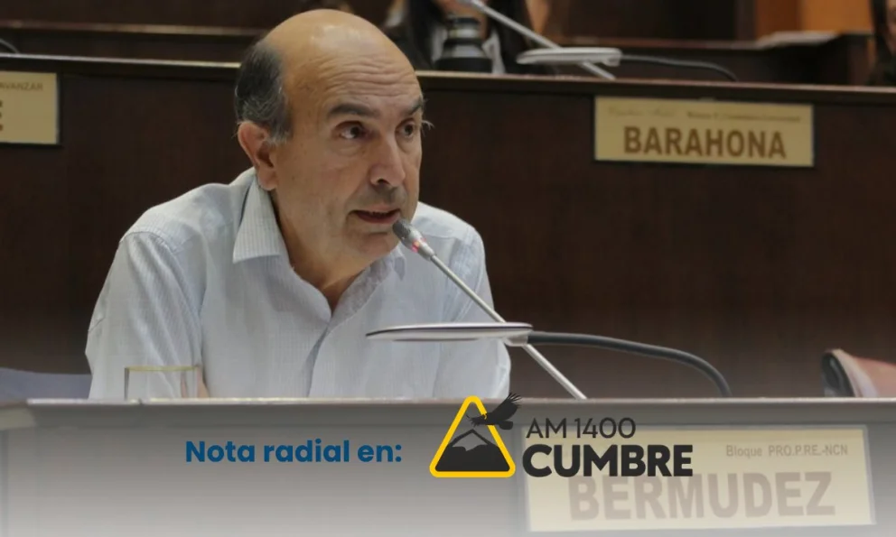 El PRO busca consolidar su lugar dentro del esquema político provincial