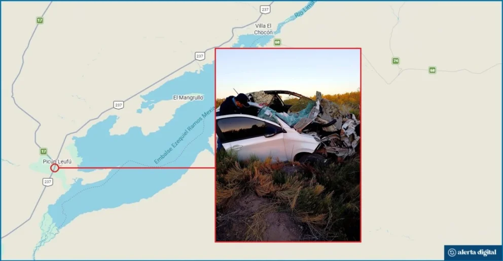 El impacto del automóvil con dos caballos sueltos se produjo en la mañana de este lunes. Foto: Google Maps/gentileza