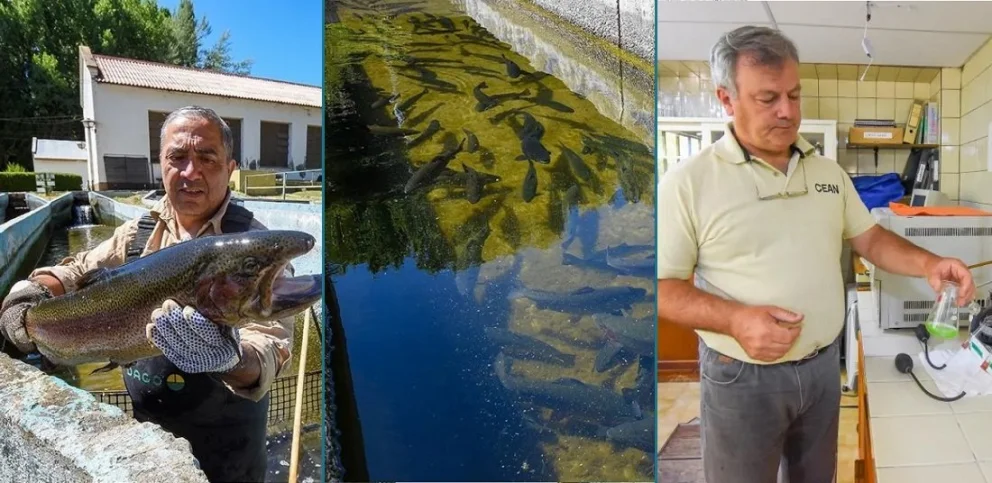 El CEAN es una usina donde se conjuga la ciencia, la producción y el impulso al turismo. Fotos: Neuquén Informa