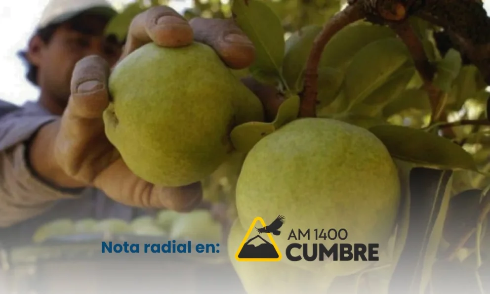 La actividad atraviesa un contexto marcado por la incertidumbre y los cambios estructurales