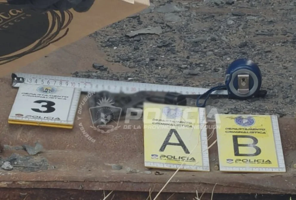 Se recuperó un celular sustraído y se secuestró un revólver con municiones.