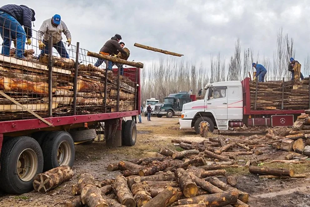 Leña, garrafas y asistencia: el Plan Calor llega a todas las localidades de la provincia. Foto: Neuquén Informa.