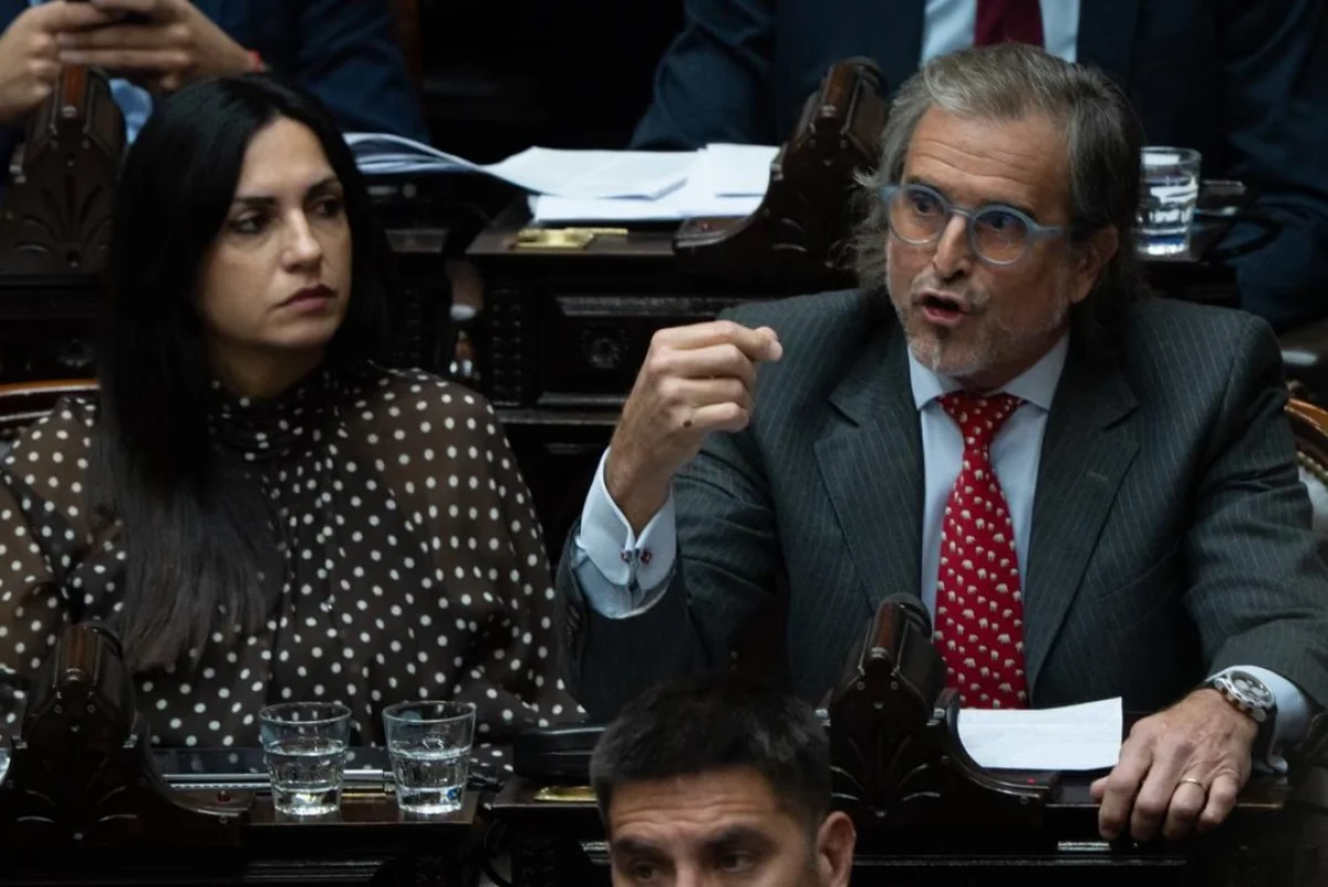 Diputados aprobó la Ley Hojarasca y pasa al Senado para su sanción ...