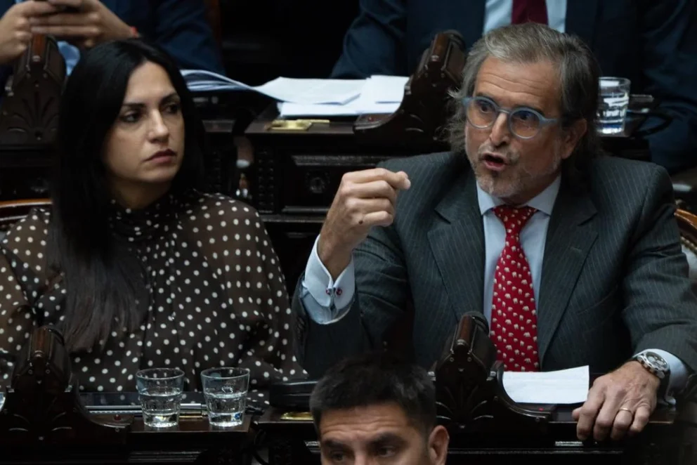 El diputado de La Libertad Avanza, Bertie Benegas Lynch.