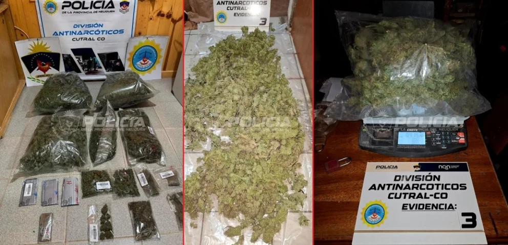Un impactante cantidad de marihuana logró secuestrar la Policía del Neuquén en cinco allanamientos en la ciudad de Cutral Co. Fotos: Policía