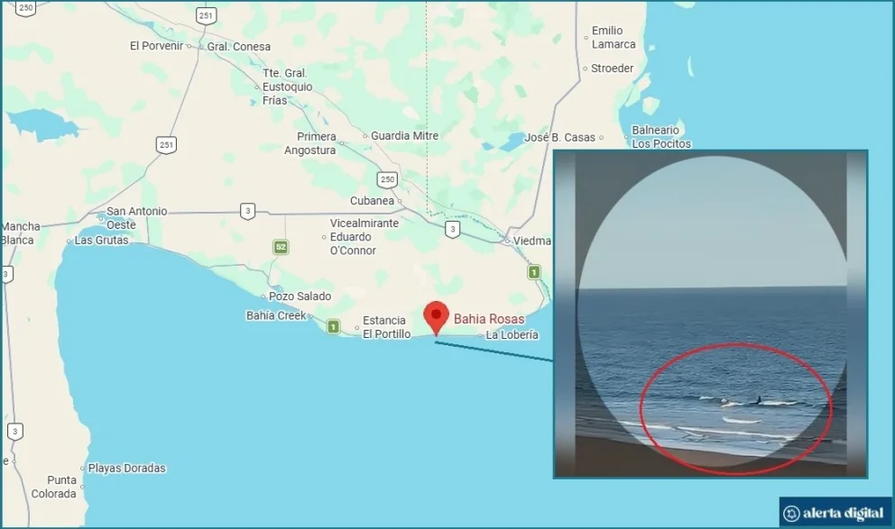 La peligrosa situación que vivió un hombre en kayak en la costa rionegrina. Foto: Google Maps/captura de video.