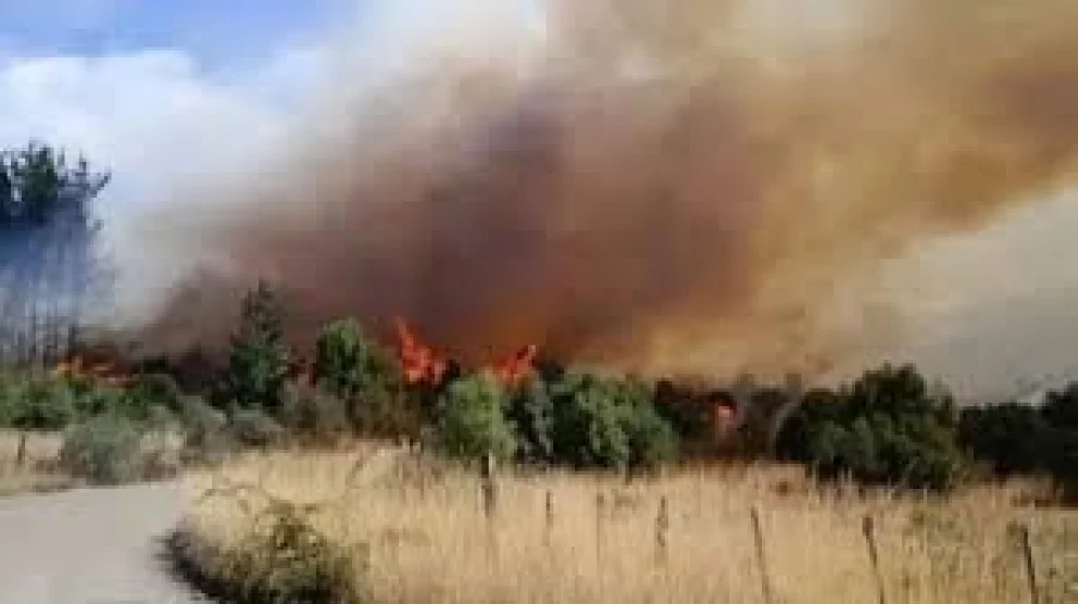 En el fallo, la Justicia lo condenó por el delito de incendio y consideró que actuó con "dolo eventual". Foto: gentileza.