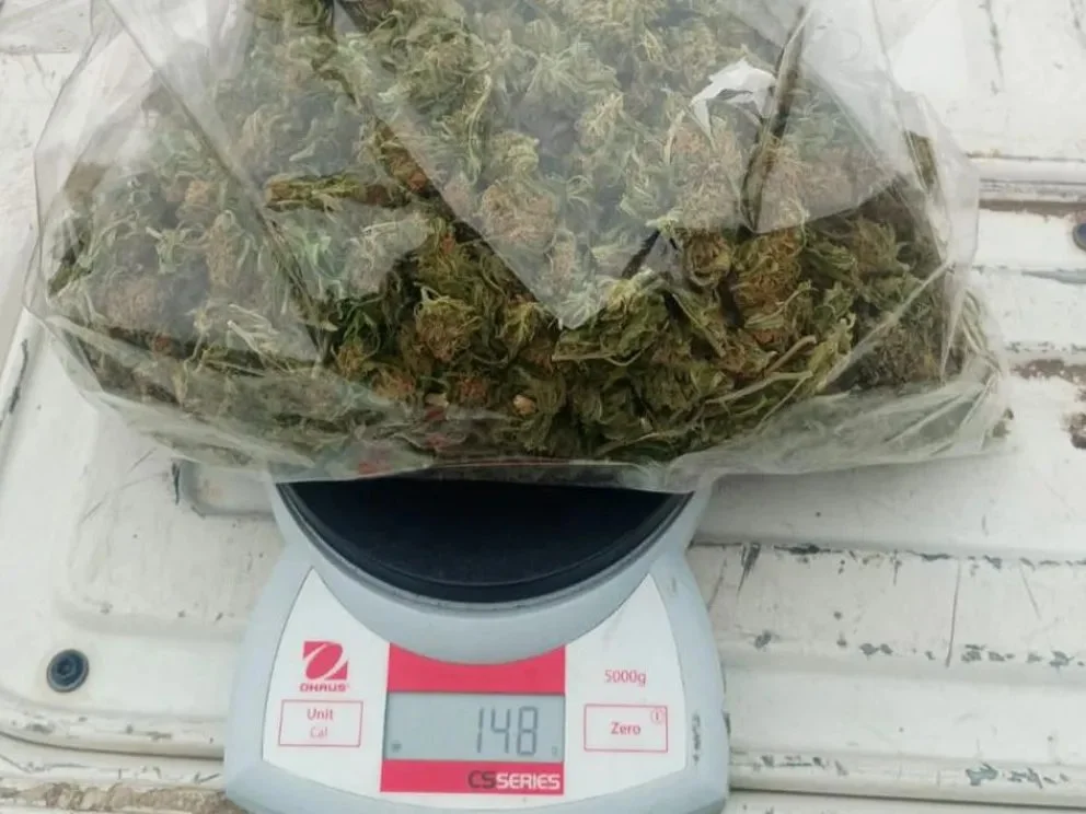 Los casi 200 gramos de marihuana.