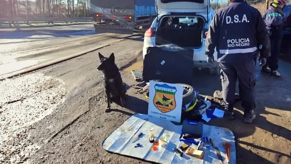 Tras la verificación inicial de la documentación del vehículo, entró en escena "Matías", un perro entrenado para la detección de estupefacientes. Foto: Gentileza. 