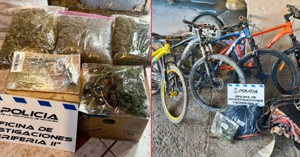 Tras los resultados de los allanamientos fueron demoradas dos personas, mientras la Justicia analiza la procedencia de varios elementos encontrados. Foto: Policía del Neuquén