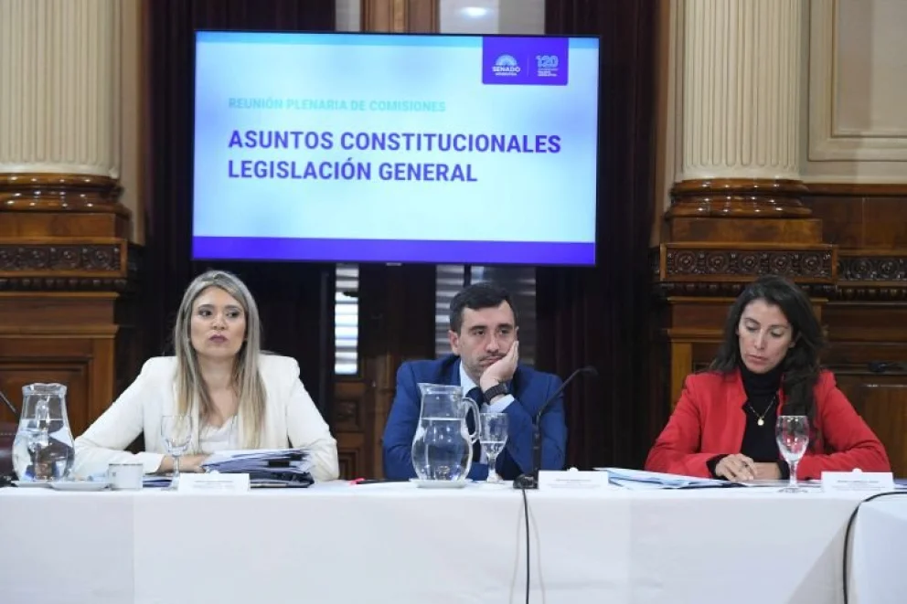 La neuquina Nadia Márquez encabezó una de las comisiones.