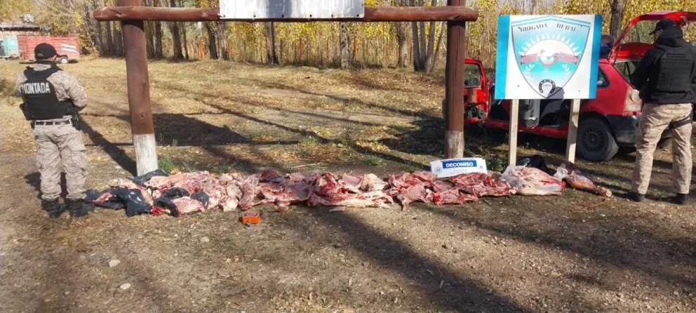 El operativo se desarrolló durante dos días y obtuvo resultados positivos para el decomiso de carne. Foto: gentileza.