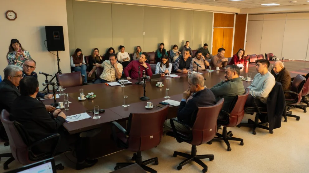 La Comisión de Asuntos Constitucionales de la Legislatura de Neuquén.