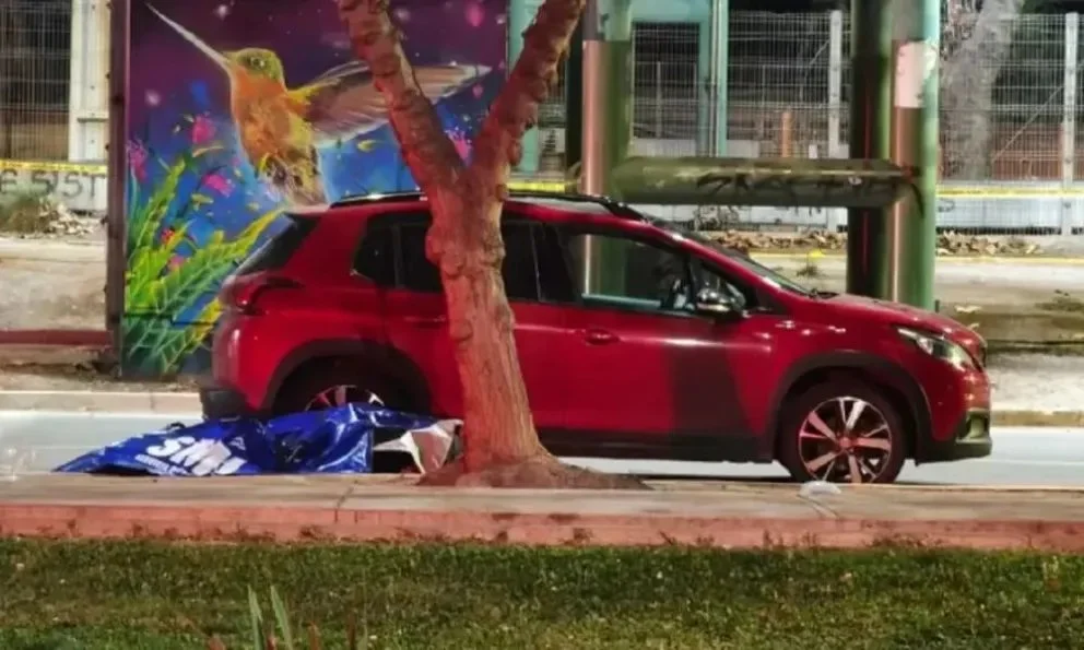 Tremendo: los vecinos fueron a socorrer al niño que quedó tendido en el asfalto, pero no logró sobrevivir por los politraumatismos. Foto: gentileza.