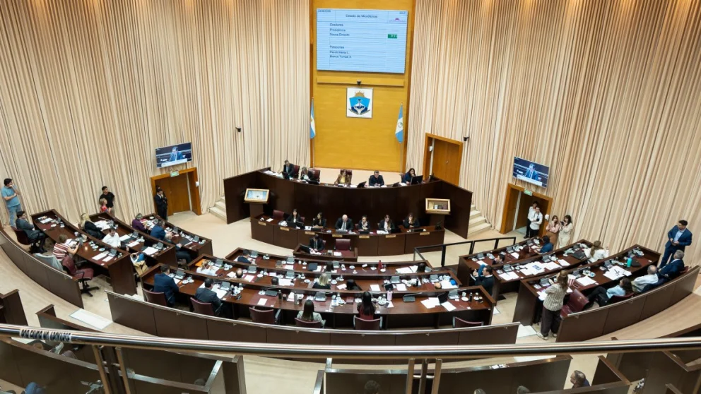 El frente de izquierda y el kirchnerismo votó en contra. Foto: gentileza. 
