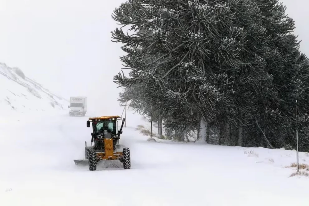 Cómo estará el tiempo en Neuquén y toda la provincia este viernes 3 de julio. Foto: archivo