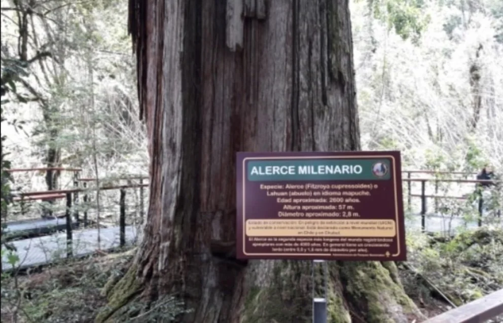 El sur de Argentina ha sido bendecido por paisajes increíbles. Fuente: gentileza.