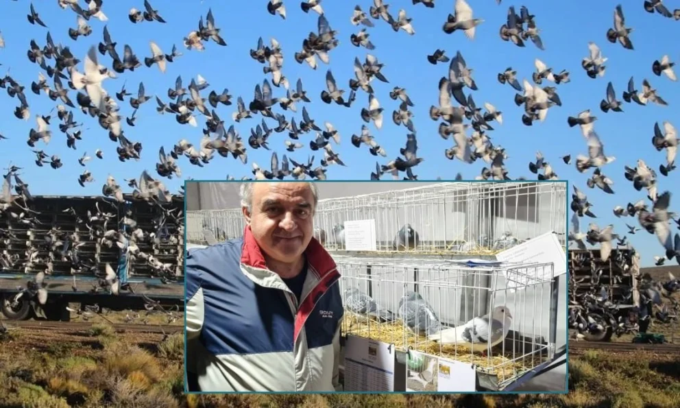 El secreto de las palomas mensajeras, la pasión por el deporte y la amenaza por la derogación de una Ley. Todo eso y mucho más en esta edición de El Diario de Vanesa. Fotos: archivo