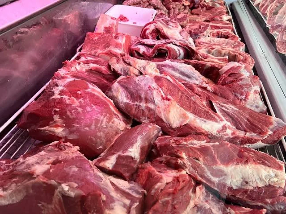 El sector exportó cerca de 38.000 toneladas más que el año anterior. Foto: gentileza.

