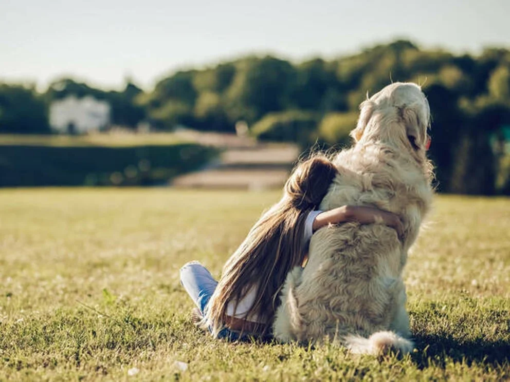 Día Mundial del Perro: un saludo para nuestros amigos de cuatro patas. Fuente: gentileza