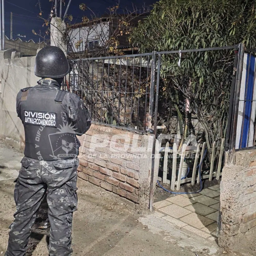 Una mujer fue imputada y quedó en libertad supeditada a la causa.