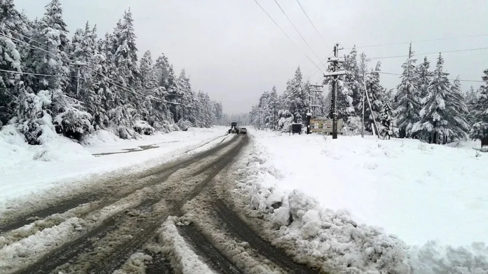 La RN 40 que une El Bolsón con Bariloche se encuentra cortada. Foto: gentileza.