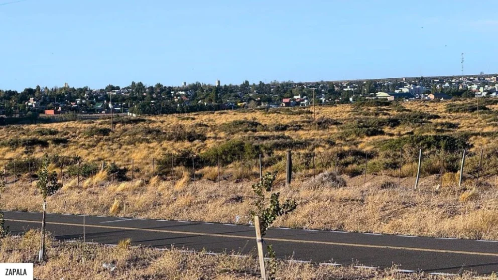 Ocurrió en Zapala.