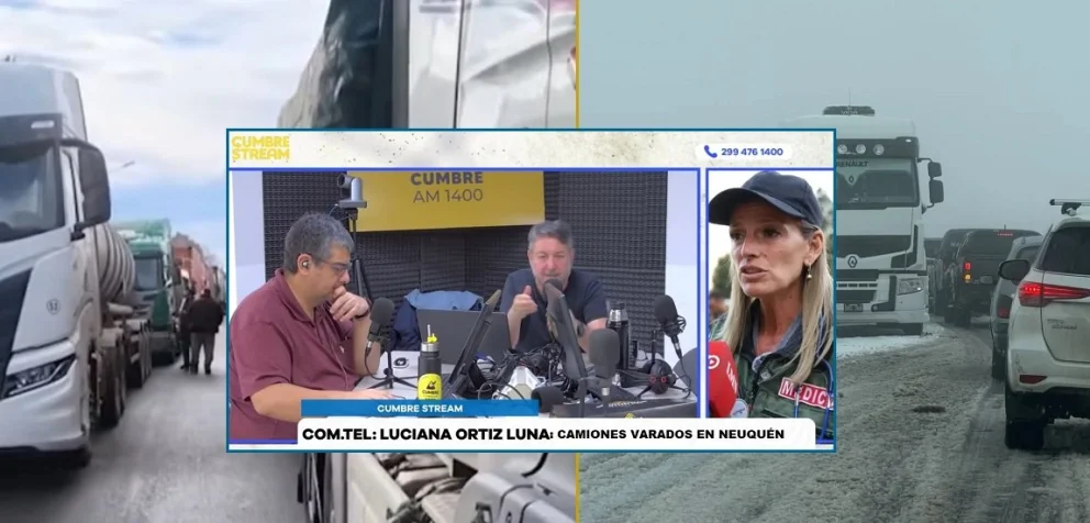 La funcionaria provincial trazó un crítico panorama por la situación climática en Neuquén. Foto: captura de video Cumbre Stream/archivo