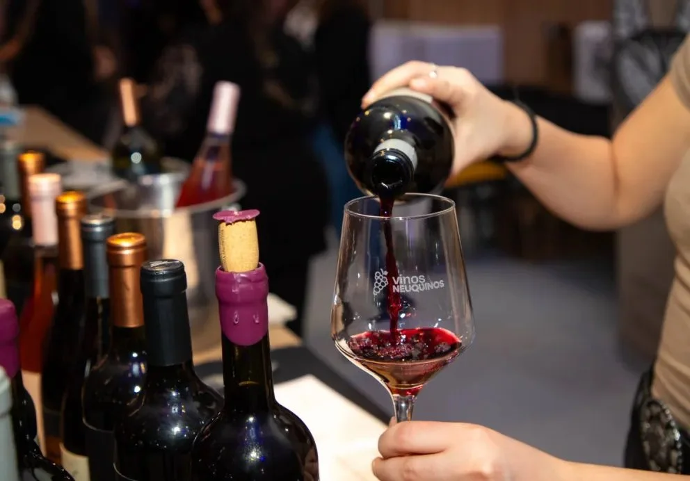 Daniela Hernández y Ana Belén Grisoni Menéndez fueron las primeras Embajadoras del Vino Neuquino.