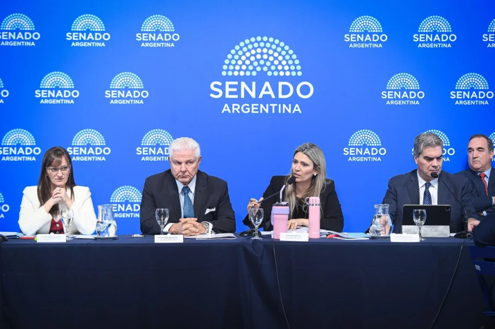 El plenario de tres comisiones del Senado no logró dictaminar el proyecto del Súper RIGI este miércoles.