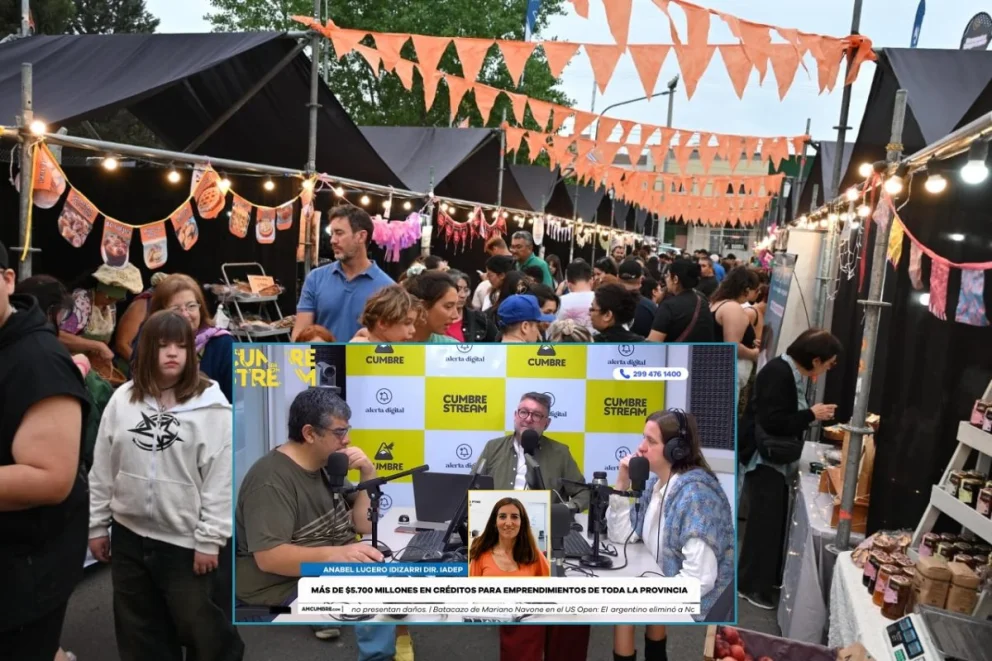 La directora del IADEP fue entrevistada en el programa "Nada sucede dos veces", por AM Cumbre 1400. Foto: captura de video Cumbre Stream/archivo